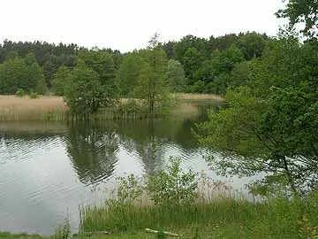 Havel (Bredereiche) – Flussbiegung nördlich Bredereiche