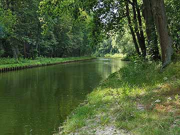 Lindower Rhin – Höhe Fußgängerbrücke, Blick Richtung Möllensee