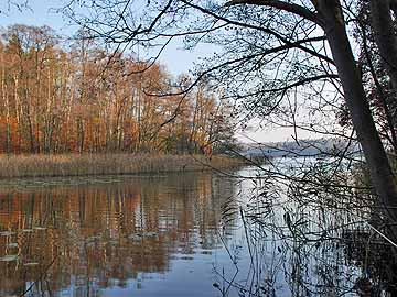 Lindower Rhin – Auslauf Möllensee