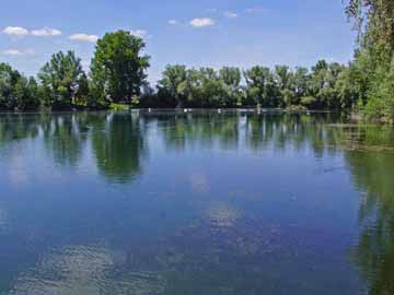 Gurrenhofsee – Blick vom Ostufer Richtung nördliche Bucht