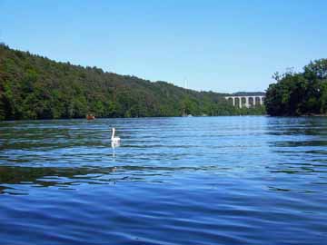 Rhein – Blick flussaufwärts Richtung Eglisau Railway Bridge