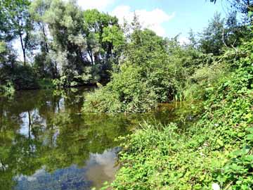 Wertach – Wertach zwischen Bobingen und Bobingen Siedlung