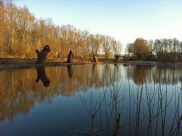 Torfmoor Boienhagen