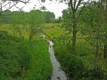 Kossau – Blick von der Brücke der B 430 bachabwärts