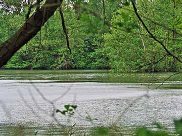 Großer Tonstich Insel Werder