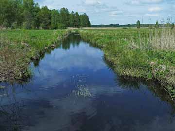 Temnitz – Blick von der Brücke flussaufwärts Richtung Netzeband