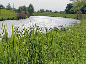 Vechte – oberhalb der Vechtesees