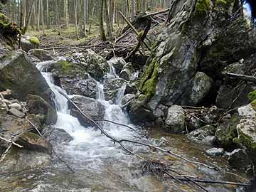Weißenbach – mittlerer Weißenbach
