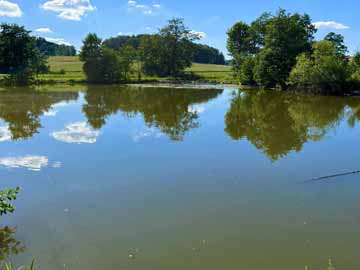 Frechmühler Weiher
