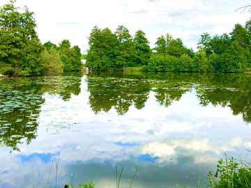 Frechmühler Weiher – Blick vom Westufer Richtung Überlauf im Juni 2021
