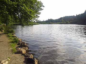 Deininger Weiher – Blick über den Weiher nach Süden
