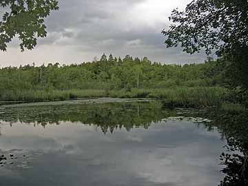Hardtweiher