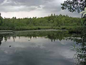 Hardtweiher