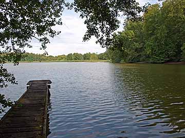 Killenweiher West – Steg im Nordwesten des Weihers