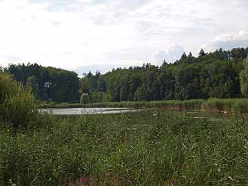 Olsenweiher