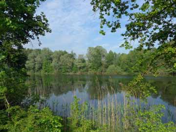 Kaltbrunnweiher