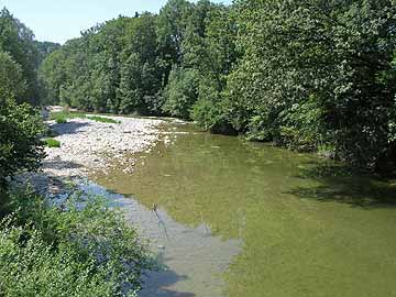 Untere Argen – Bereich unterhalb der Nieratzer Brücke