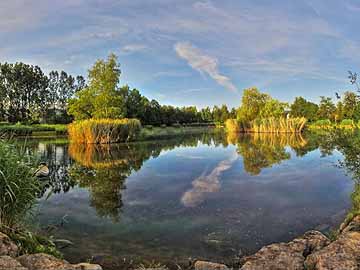 Erlensee – Lichtstimmung am Morgen