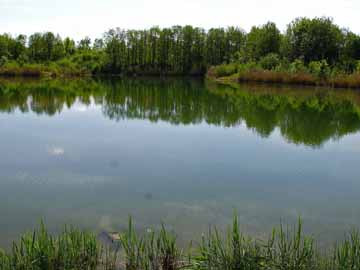 Baggersee Unterelchingen