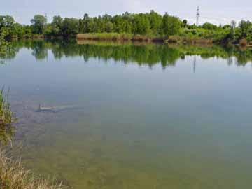 Baggersee Unterelchingen