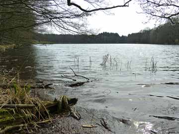 Kleiner See