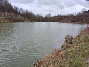Gaugersee – der Gaugersee am 17. März 2024