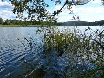 Großer Peetschsee – Blick über den Großen Peetschsee