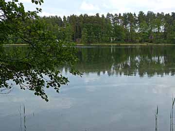 Rochowsee – westl. Seebereich, Blick Richtung Südufer