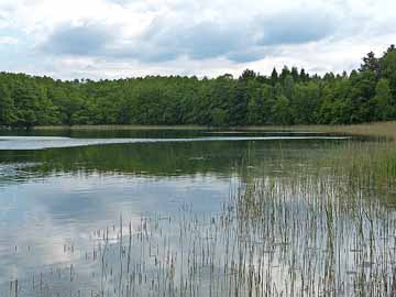 Rochowsee – Blick vom Nordufer in den westlichen Seebereich