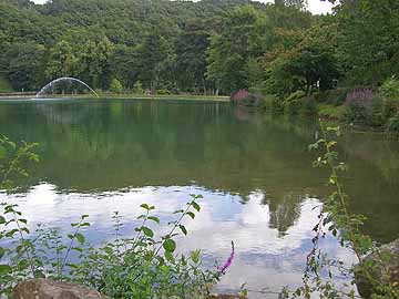 Schwanenweiher – Blick auf das südliche Ufer