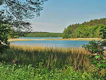 Twernsee – südöstliche Seebereich nahe Luhme