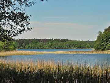 Twernsee – südöstliche Seebereich nahe Luhme