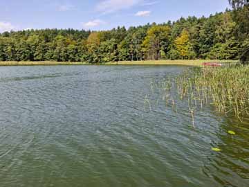 Ziemssee