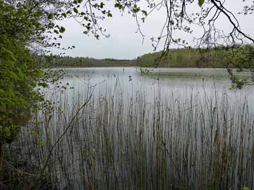 Sabinensee – Blick vom Westufer in den nördlichen Seebereich