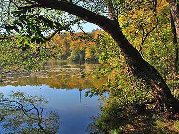 Böbereckensee – Böbereckensee im Herbst