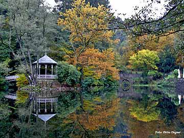 Waldsee Freiburg