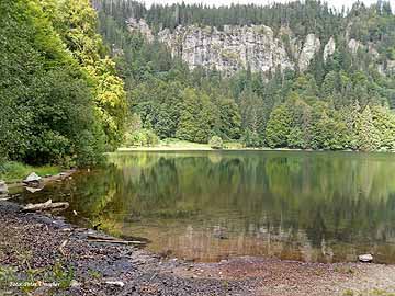 Feldsee