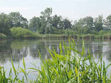 Kleiner Schwanensee