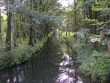 Bancerowa – Höhe Leiper Weggraben, Blick Richtung Freiheitskanal