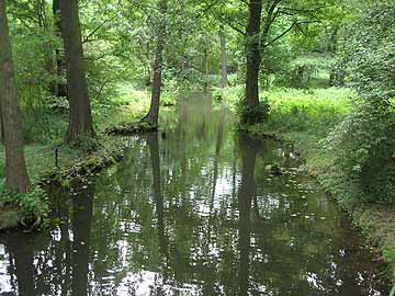 Bitschnikfließ – Brücke nach Leipe, Blick flussabwärts