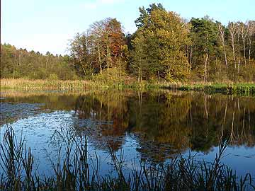 Mühlenteich Kramnitz