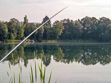 Kiessee ASG Edesheim – Schleien gehen super auf Mais an der Stippe