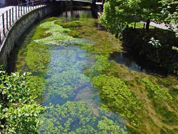 Blau – die Blau im Stadtgebiet von Ulm