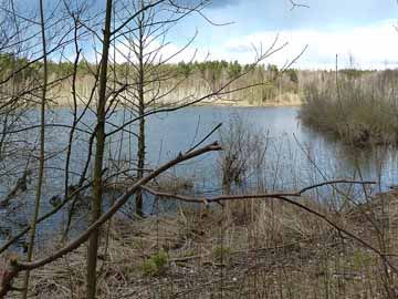 Oberkastavensee – südliches Ende des Oberkastavensees
