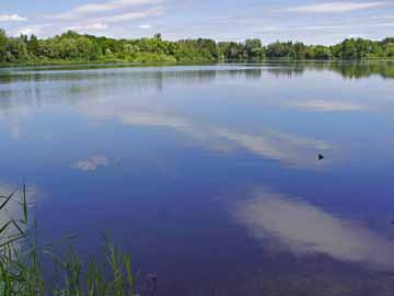 Schwabsee