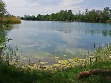 Nussersee