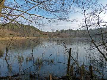 Weißer See Altglobsow – Blick vom Westufer im Januar 2015
