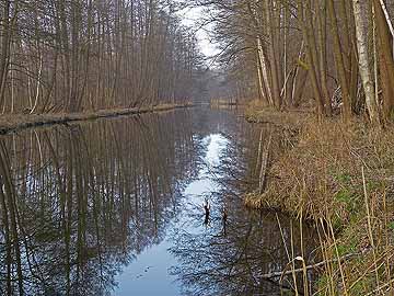 Kagarbach – Blick Richtung Dollgowsee