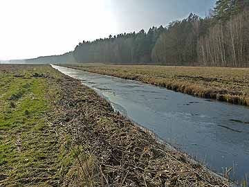 Linower Hauptgraben