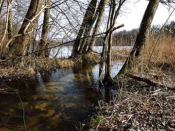 Lindower Rhin – an der Mündung in den Huwenowsee